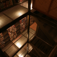 Carnegie_elevator_down_glass_floors.JPG